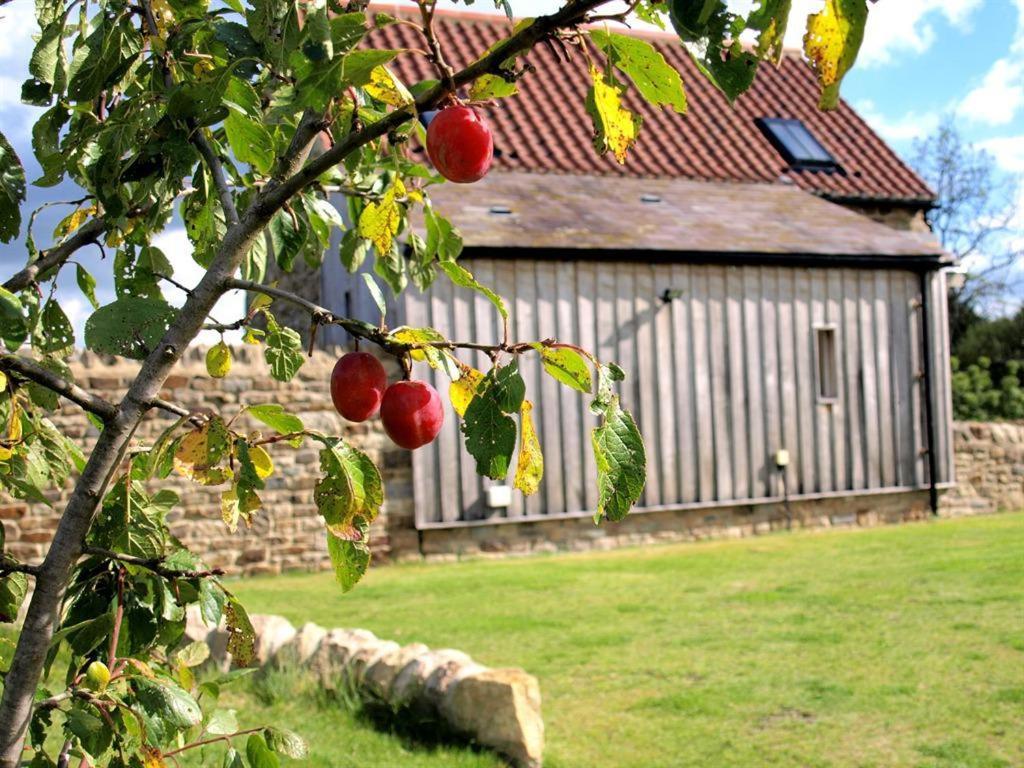 Plum Tree Cottage Witton le Wear Esterno foto